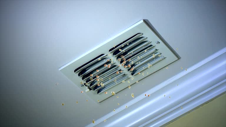 Best HVAC Duct Inspection Services  in Palm Springs, FL