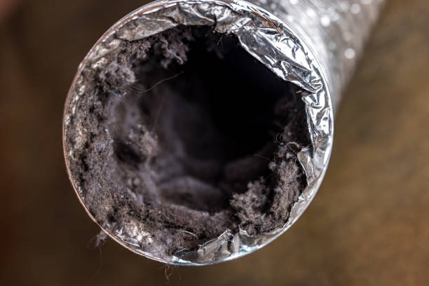 Best HVAC Duct Inspection Services  in Palm Springs, FL