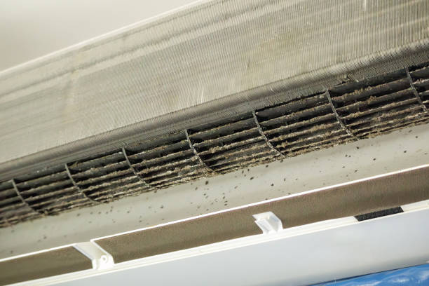 Best Emergency Air Duct Cleaning  in Palm Springs, FL